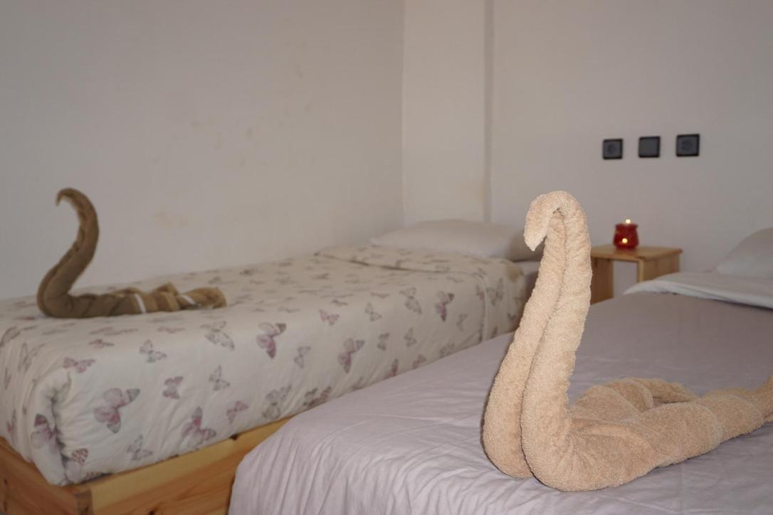 Hostel The Endless House Anchor Point Taghazout Esterno foto
